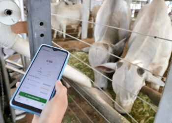 Agrotins 2026 destaca tecnologias e soluções inovadoras que modernizam a produção rural no Tocantins