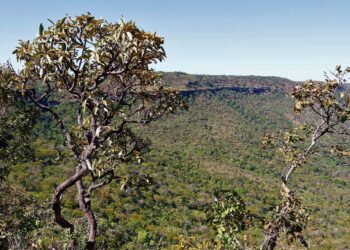 Governo do Tocantins sanciona lei que atualiza o licenciamento ambiental para garantir agilidade, segurança jurídica e responsabilidade ambiental