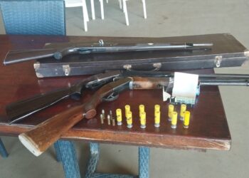 Ações da Polícia Civil resultam em prisões e apreensões de armas de fogo em Araguaína