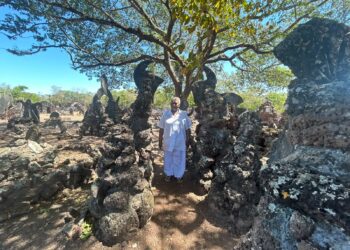 Dona Romana: a guardiã de uma história que atravessa gerações em Natividade
