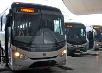 Tocantins terá transporte intermunicipal gratuito no segundo turno das Eleições 2026